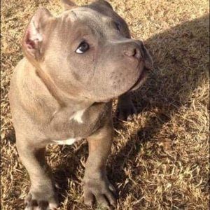 Meet your Posher, Cynthia